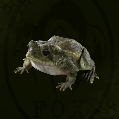 メタルギアデルタ_オットンガエル_アイコン